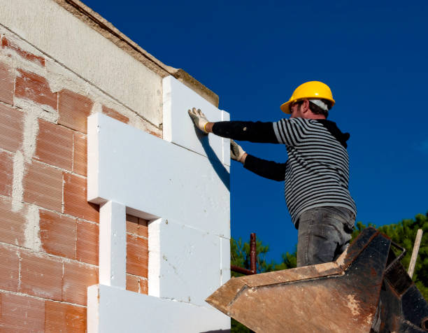 Best Insulation Removal Services  in New Baltimore, MI