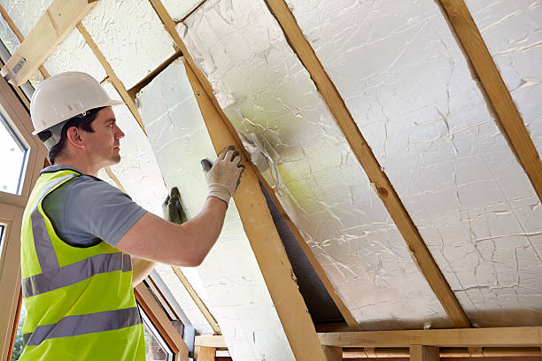 Best Insulation Replacement Services  in New Baltimore, MI